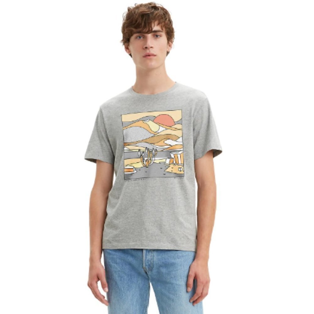 Levi's Gray Desert Scape Graphic Crewneck T-Shirt Xs